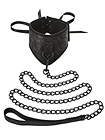 Sincerely Lace Posture Collar & Leash